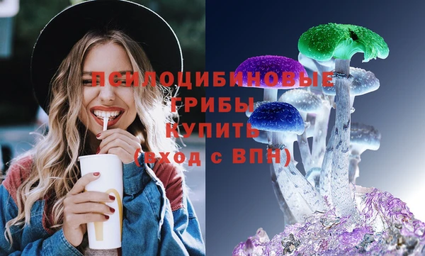 сатива Абаза