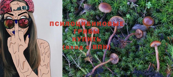 сатива Абаза